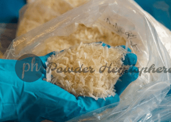 Mexico-SyntheticDrugs-Methamphetamine-190626-ArboBurgi Order Dutch Crystal Methamphetamine | USA seller